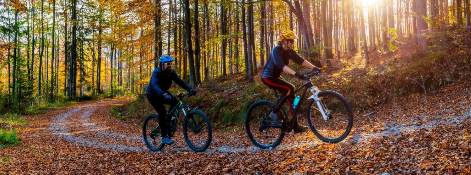 Велосипедист едет по живописной лесной дороге